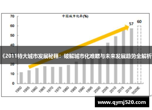 《2011特大城市发展秘籍：破解城市化难题与未来发展趋势全解析》