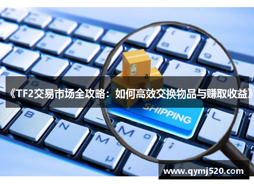 《TF2交易市场全攻略：如何高效交换物品与赚取收益》